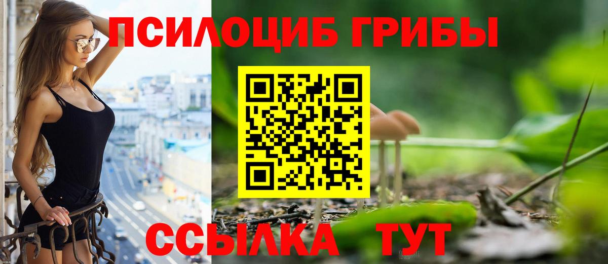 Нерюнгри  Галлюциногенные грибы Psilocybine cubensis  Галлюциногенные грибы GOLDEN TEACHER  Вход с VPN 
